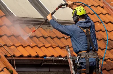 Démoussage et hydrofuge de toiture à Harreberg